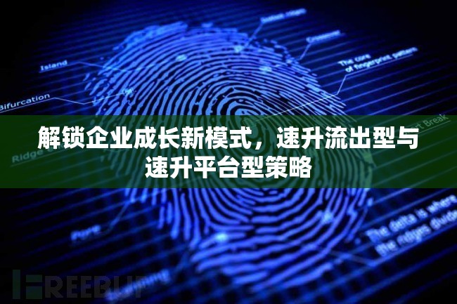 解鎖企業(yè)成長(zhǎng)新模式，速升流出型與速升平臺(tái)型策略