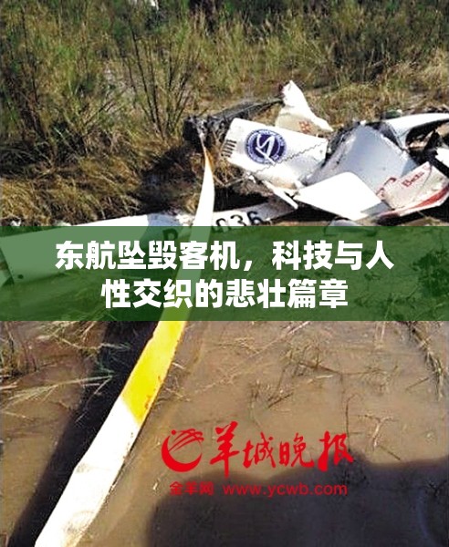 東航墜毀客機，科技與人性交織的悲壯篇章