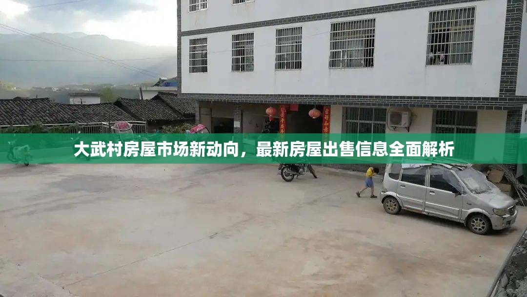 大武村房屋市場(chǎng)新動(dòng)向，最新房屋出售信息全面解析