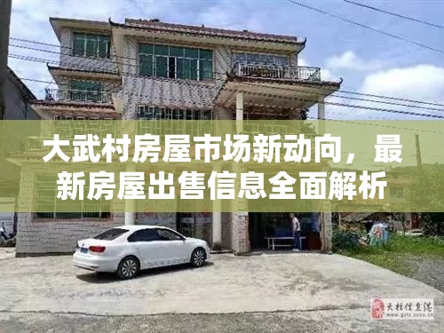 大武村房屋市場(chǎng)新動(dòng)向，最新房屋出售信息全面解析