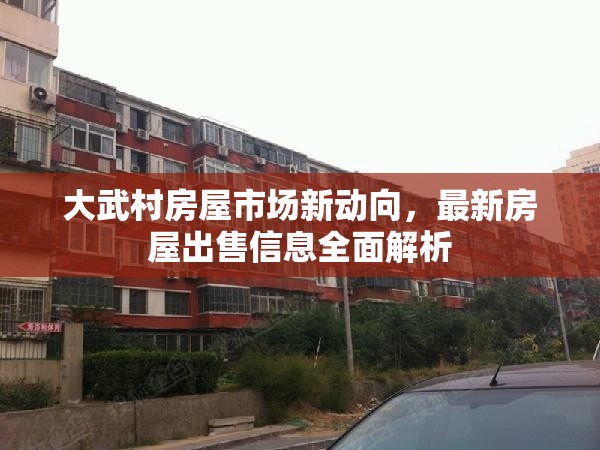 大武村房屋市場(chǎng)新動(dòng)向，最新房屋出售信息全面解析