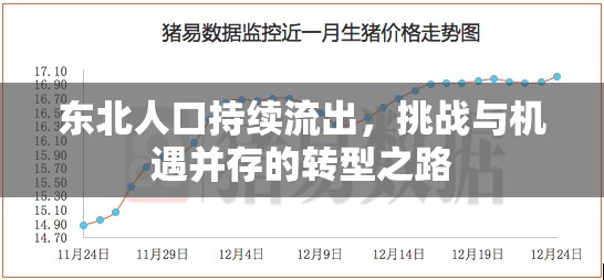 東北人口持續(xù)流出，挑戰(zhàn)與機遇并存的轉(zhuǎn)型之路
