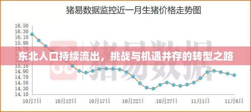 東北人口持續(xù)流出，挑戰(zhàn)與機遇并存的轉(zhuǎn)型之路