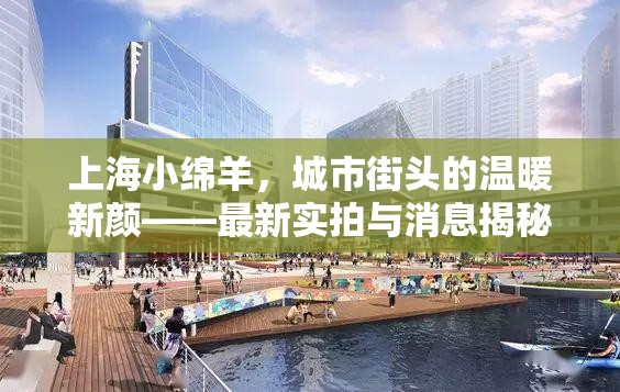 上海小綿羊，城市街頭的溫暖新顏——最新實拍與消息揭秘