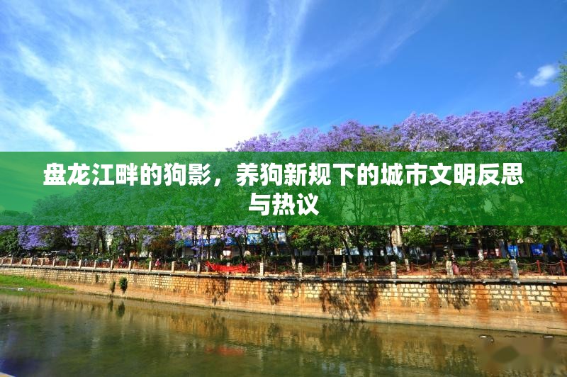 盤龍江畔的狗影，養(yǎng)狗新規(guī)下的城市文明反思與熱議