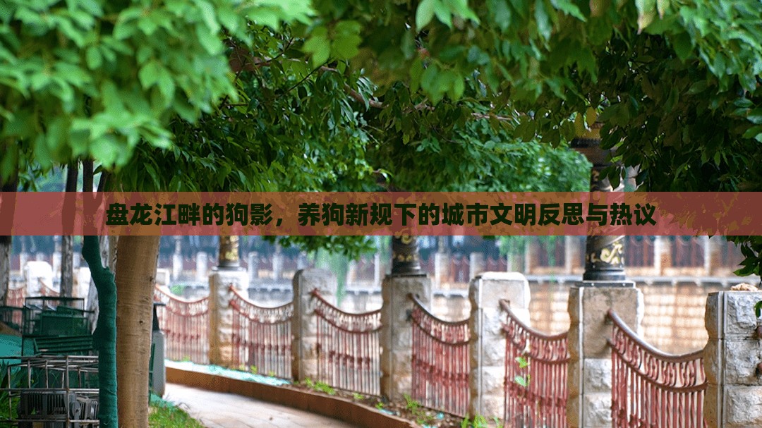 盤龍江畔的狗影，養(yǎng)狗新規(guī)下的城市文明反思與熱議