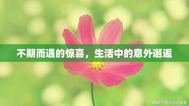 不期而遇的驚喜，生活中的意外邂逅