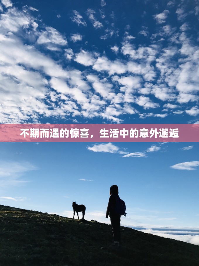 不期而遇的驚喜，生活中的意外邂逅