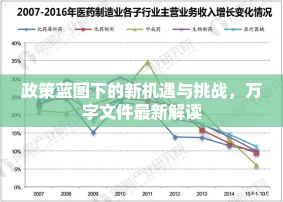 政策藍(lán)圖下的新機(jī)遇與挑戰(zhàn)，萬(wàn)字文件最新解讀