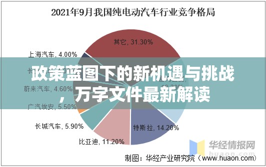 政策藍(lán)圖下的新機(jī)遇與挑戰(zhàn)，萬(wàn)字文件最新解讀