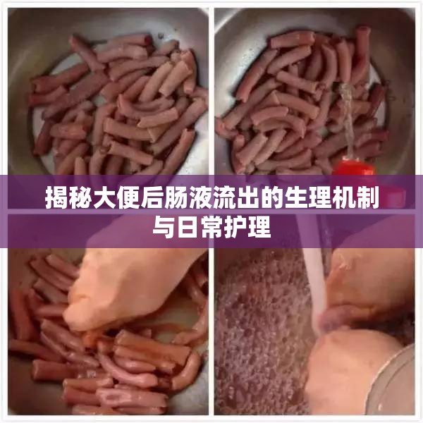 揭秘大便后腸液流出的生理機(jī)制與日常護(hù)理