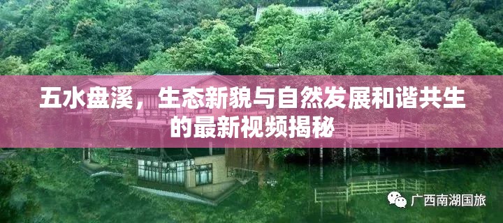 五水盤溪，生態(tài)新貌與自然發(fā)展和諧共生的最新視頻揭秘