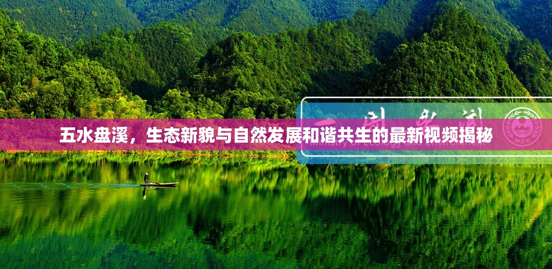 五水盤溪，生態(tài)新貌與自然發(fā)展和諧共生的最新視頻揭秘