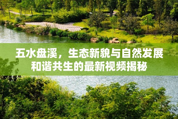 五水盤溪，生態(tài)新貌與自然發(fā)展和諧共生的最新視頻揭秘