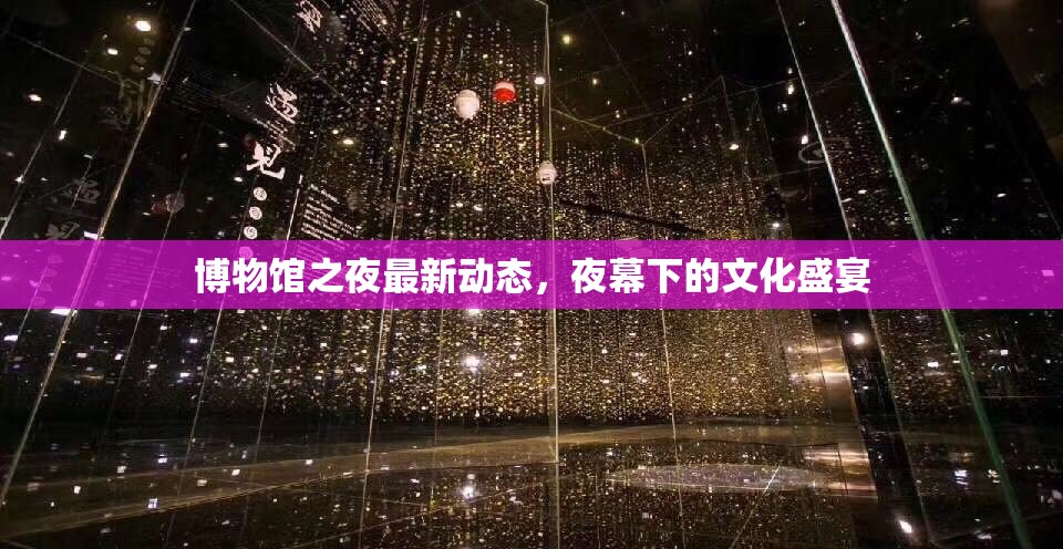 博物館之夜最新動態(tài)，夜幕下的文化盛宴