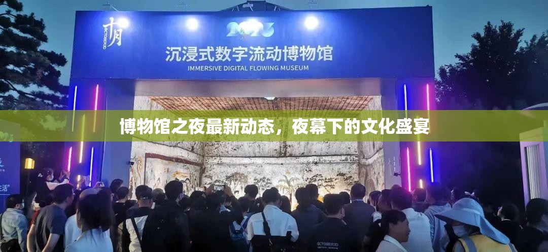 博物館之夜最新動態(tài)，夜幕下的文化盛宴