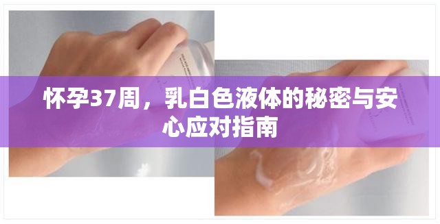 懷孕37周，乳白色液體的秘密與安心應(yīng)對指南