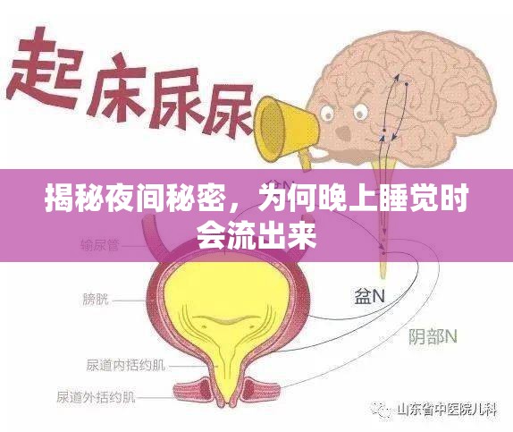 揭秘夜間秘密，為何晚上睡覺(jué)時(shí)會(huì)流出來(lái)
