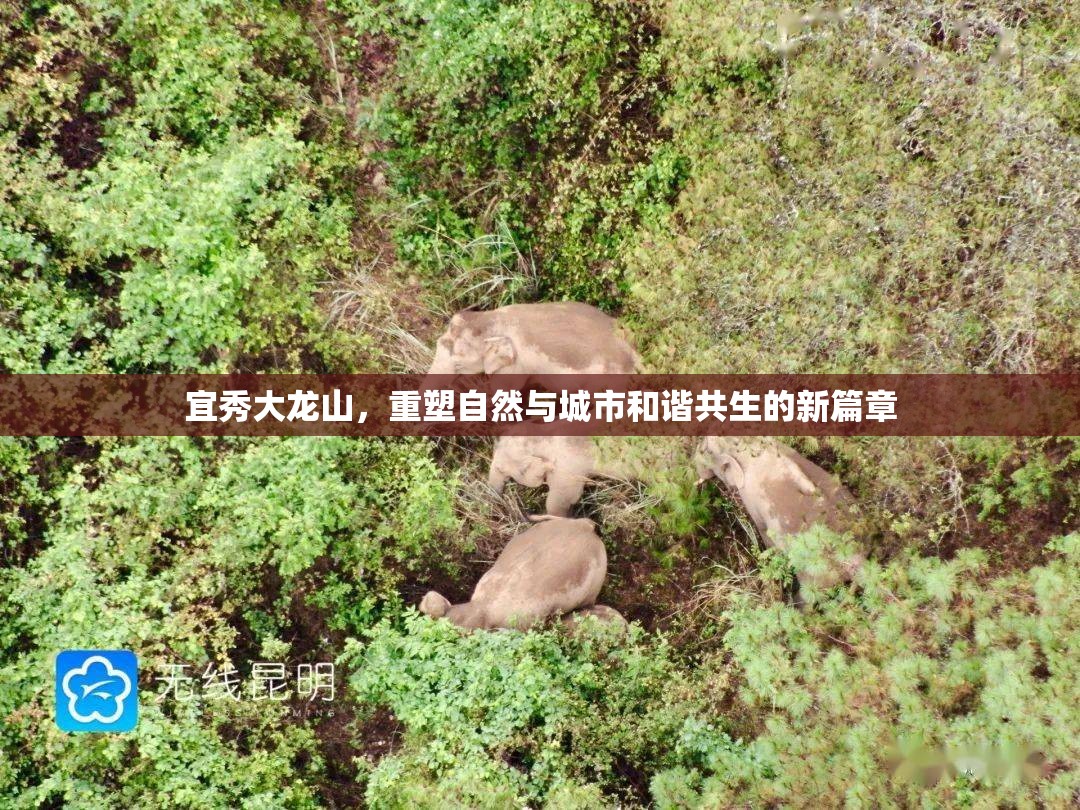 宜秀大龍山，重塑自然與城市和諧共生的新篇章
