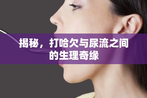 揭秘，打哈欠與尿流之間的生理奇緣