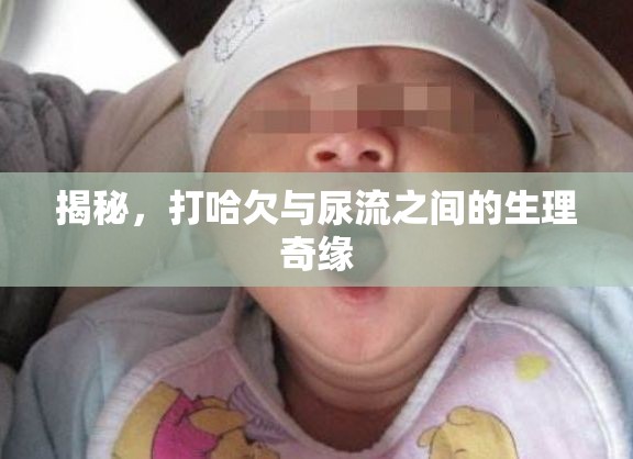 揭秘，打哈欠與尿流之間的生理奇緣