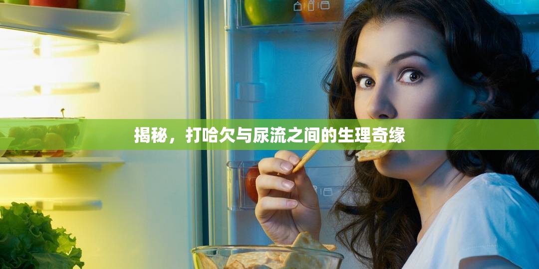 揭秘，打哈欠與尿流之間的生理奇緣