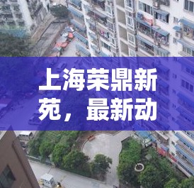 上海榮鼎新苑，最新動態(tài)與進展