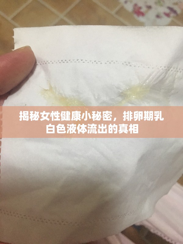 揭秘女性健康小秘密，排卵期乳白色液體流出的真相