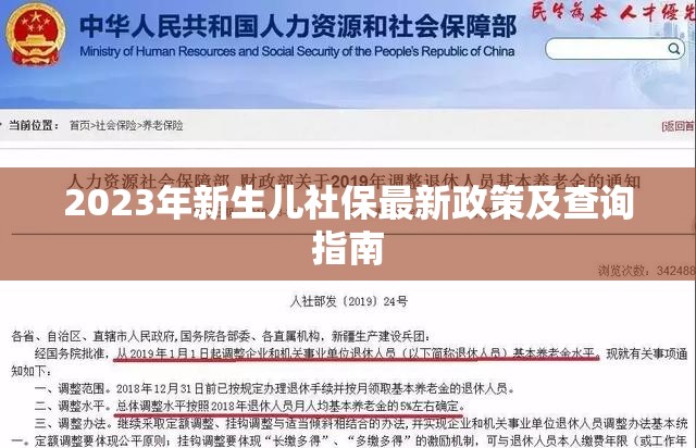 2023年新生兒社保最新政策及查詢指南