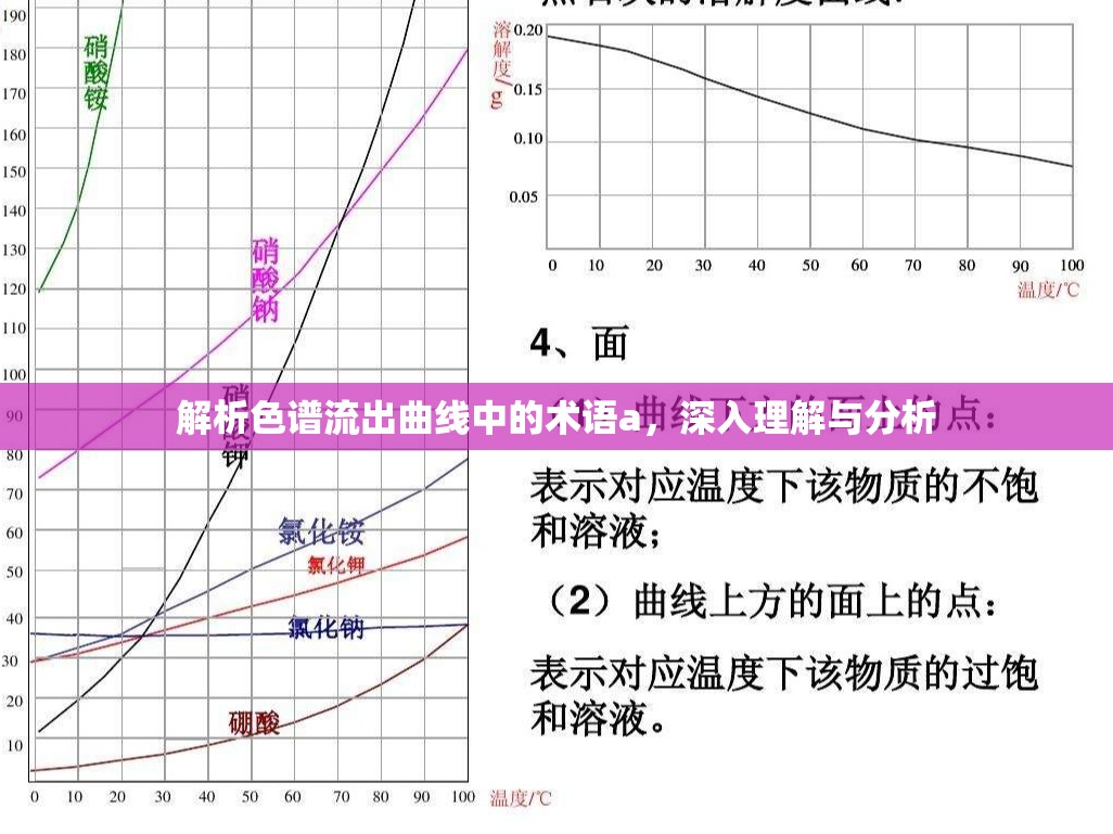 解析色譜流出曲線(xiàn)中的術(shù)語(yǔ)a，深入理解與分析