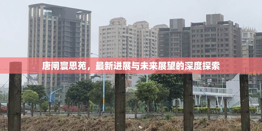 唐閘寰思苑，最新進(jìn)展與未來展望的深度探索