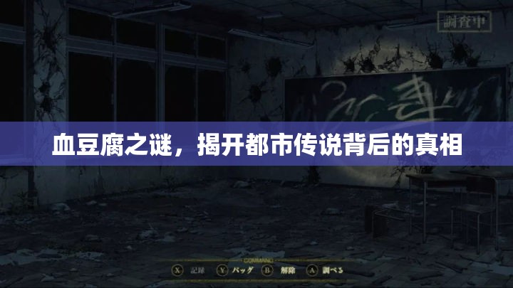 血豆腐之謎，揭開(kāi)都市傳說(shuō)背后的真相