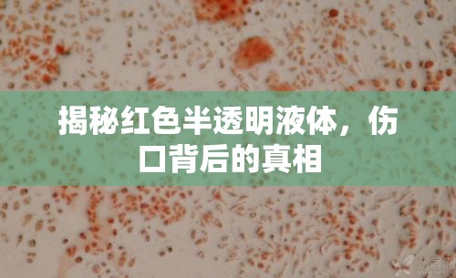 揭秘紅色半透明液體，傷口背后的真相