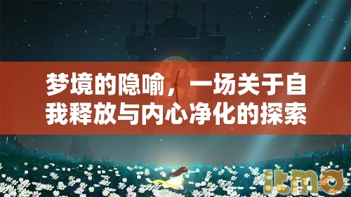 夢(mèng)境的隱喻，一場關(guān)于自我釋放與內(nèi)心凈化的探索之旅