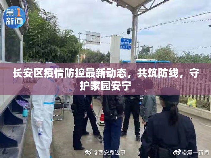 長安區(qū)疫情防控最新動態(tài)，共筑防線，守護家園安寧