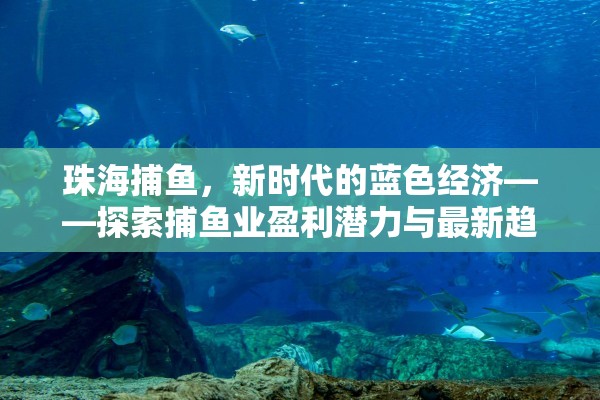 珠海捕魚，新時代的藍色經(jīng)濟——探索捕魚業(yè)盈利潛力與最新趨勢