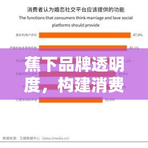 蕉下品牌透明度，構(gòu)建消費(fèi)者信任的深度探討