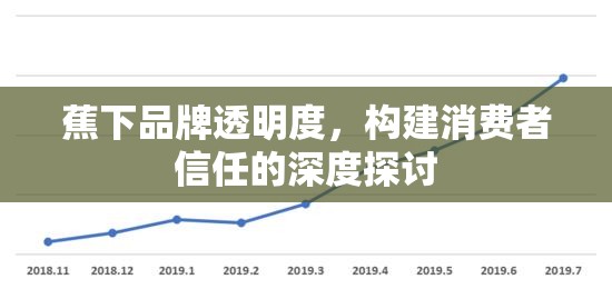 蕉下品牌透明度，構(gòu)建消費(fèi)者信任的深度探討
