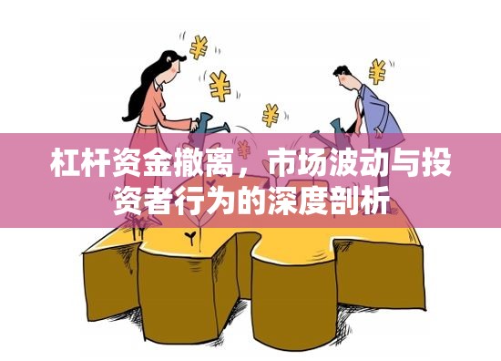 杠桿資金撤離，市場(chǎng)波動(dòng)與投資者行為的深度剖析