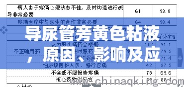 導(dǎo)尿管旁黃色粘液，原因、影響及應(yīng)對策略