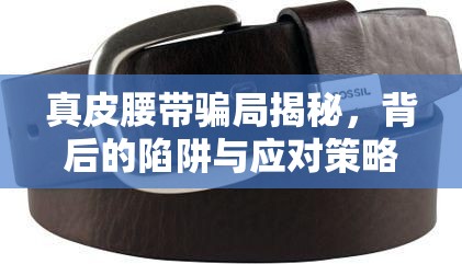 真皮腰帶騙局揭秘，背后的陷阱與應對策略