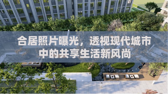 合居照片曝光，透視現(xiàn)代城市中的共享生活新風(fēng)尚