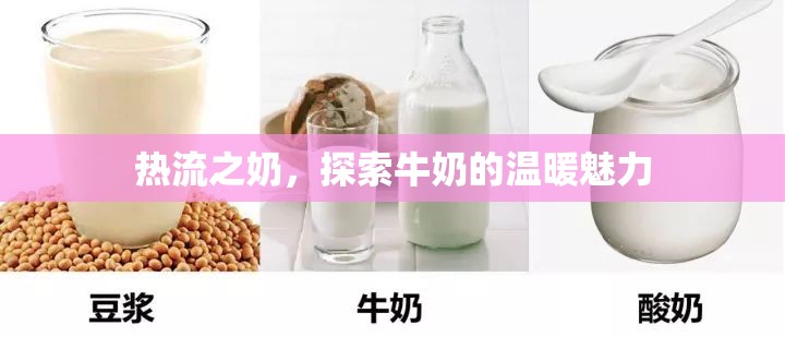 熱流之奶，探索牛奶的溫暖魅力