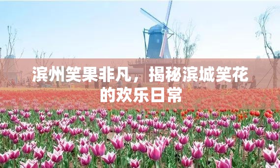 濱州笑果非凡，揭秘濱城笑花的歡樂(lè)日常