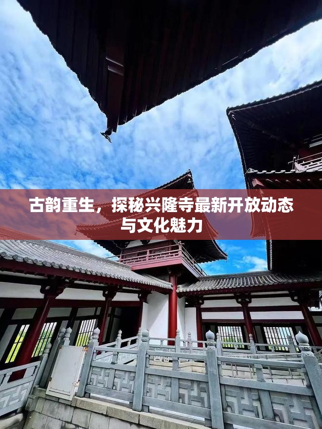 古韻重生，探秘興隆寺最新開放動(dòng)態(tài)與文化魅力