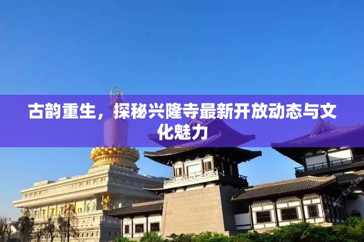 古韻重生，探秘興隆寺最新開放動(dòng)態(tài)與文化魅力