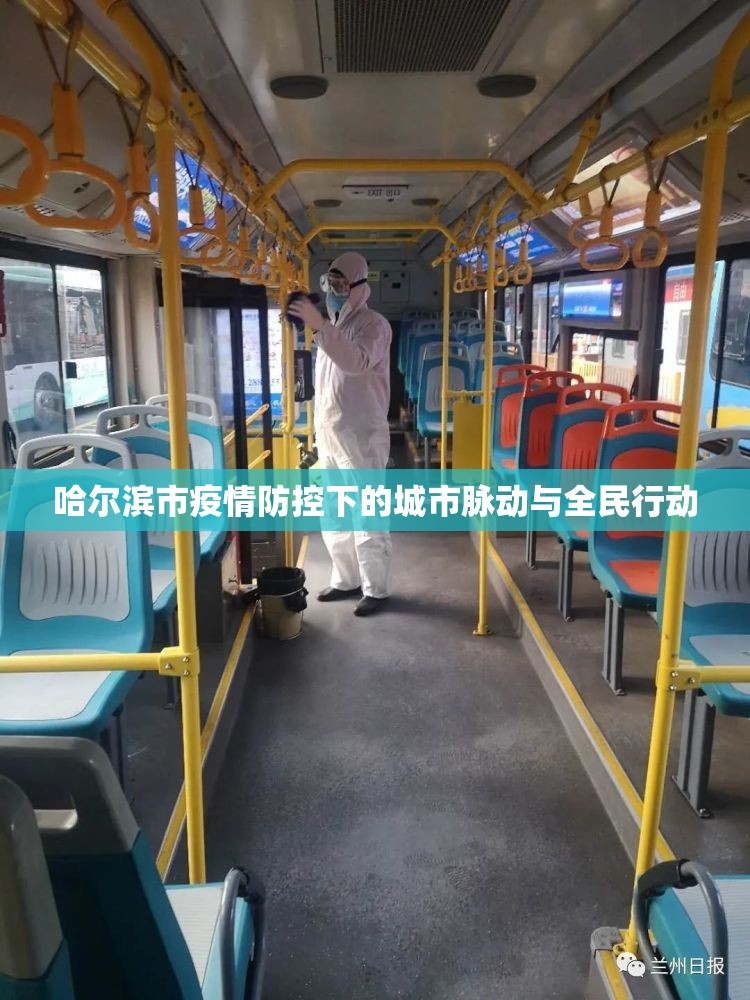 哈爾濱市疫情防控下的城市脈動與全民行動