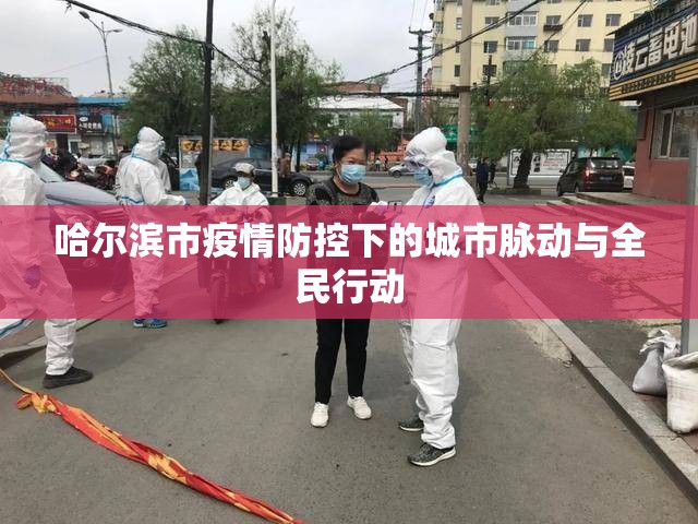 哈爾濱市疫情防控下的城市脈動與全民行動