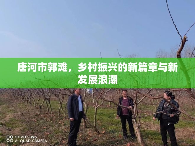 唐河市郭灘，鄉(xiāng)村振興的新篇章與新發(fā)展浪潮