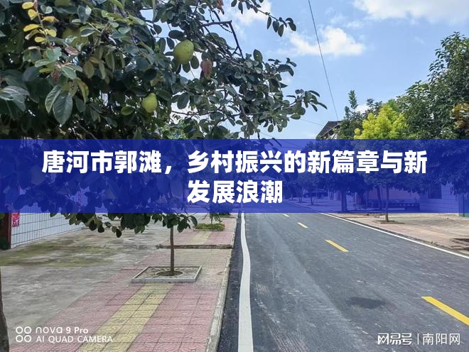 唐河市郭灘，鄉(xiāng)村振興的新篇章與新發(fā)展浪潮